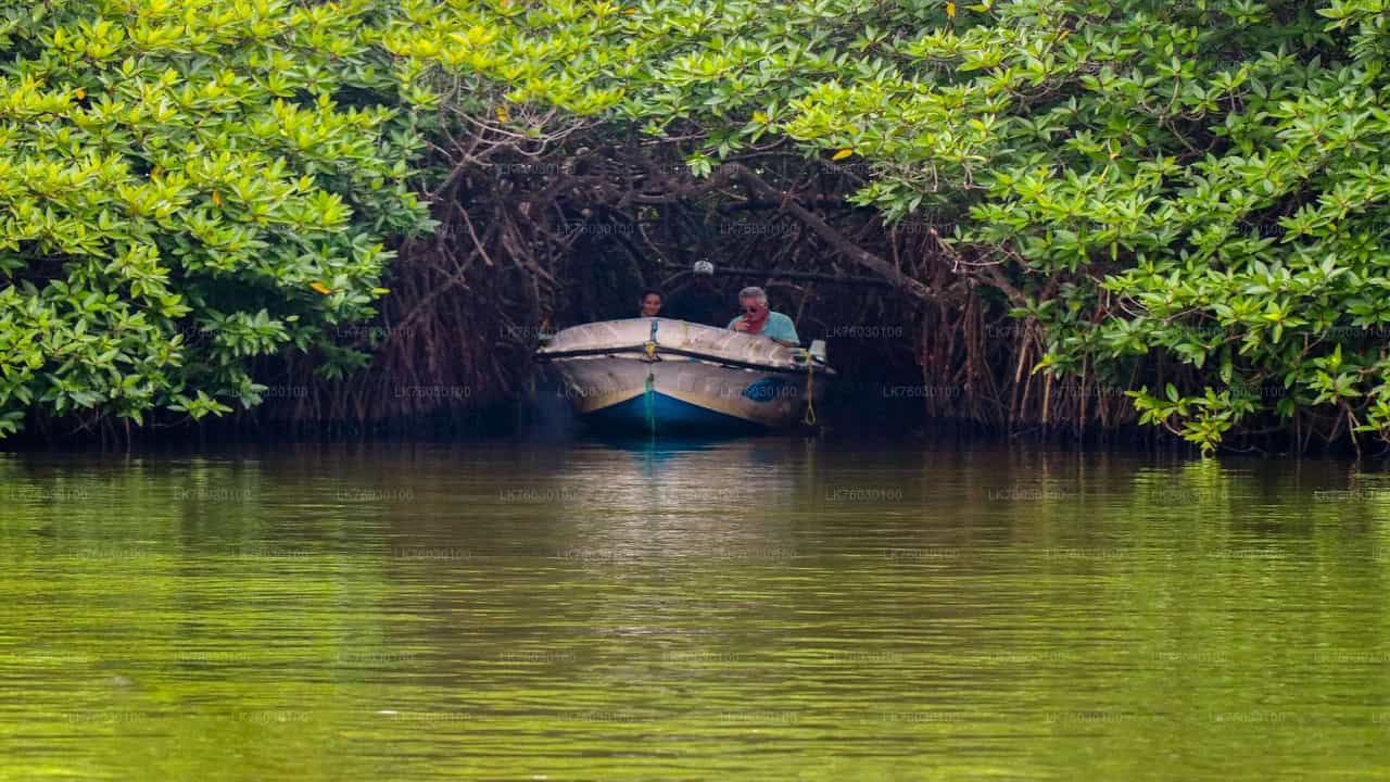 Madu river boat safari