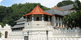 Ella Highlights and Southern Coast during the Classic Sri Lanka Discovery package