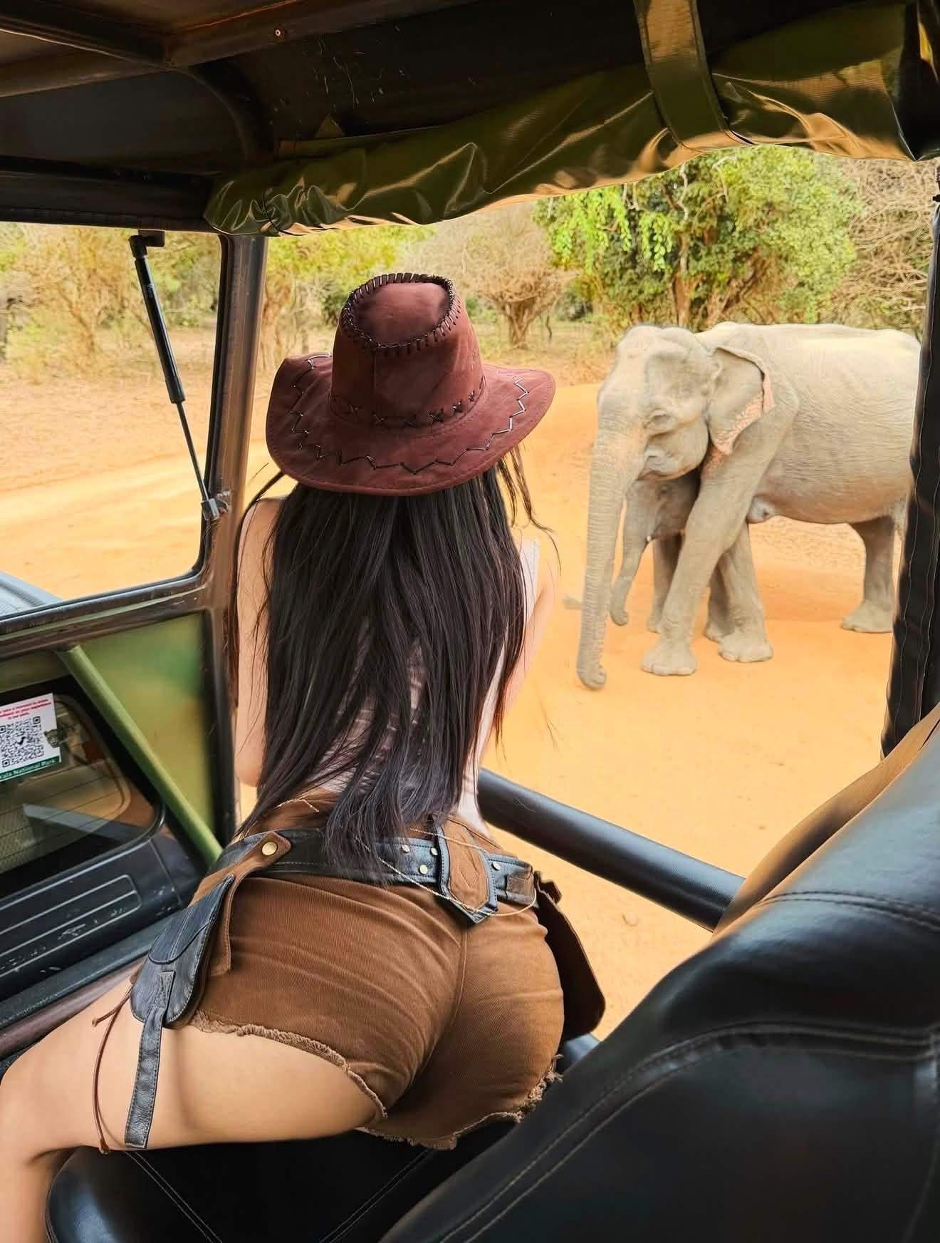 Travelers enjoying a wildlife safari in Sri Lanka, exploring the national park and observing wildlife in its natural habitat